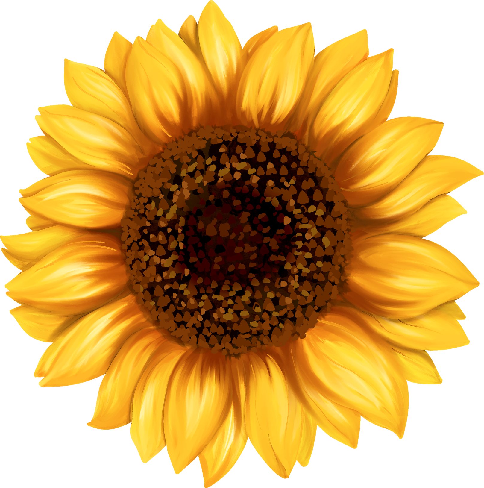 Watercolor Sunflower Illustration